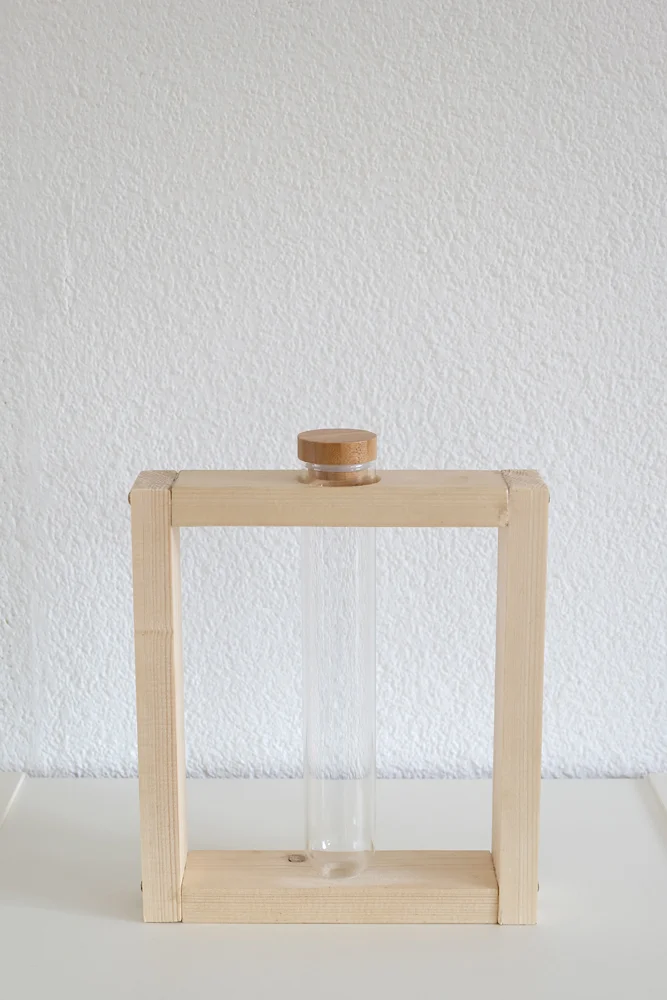 test-tube-vase.jpg