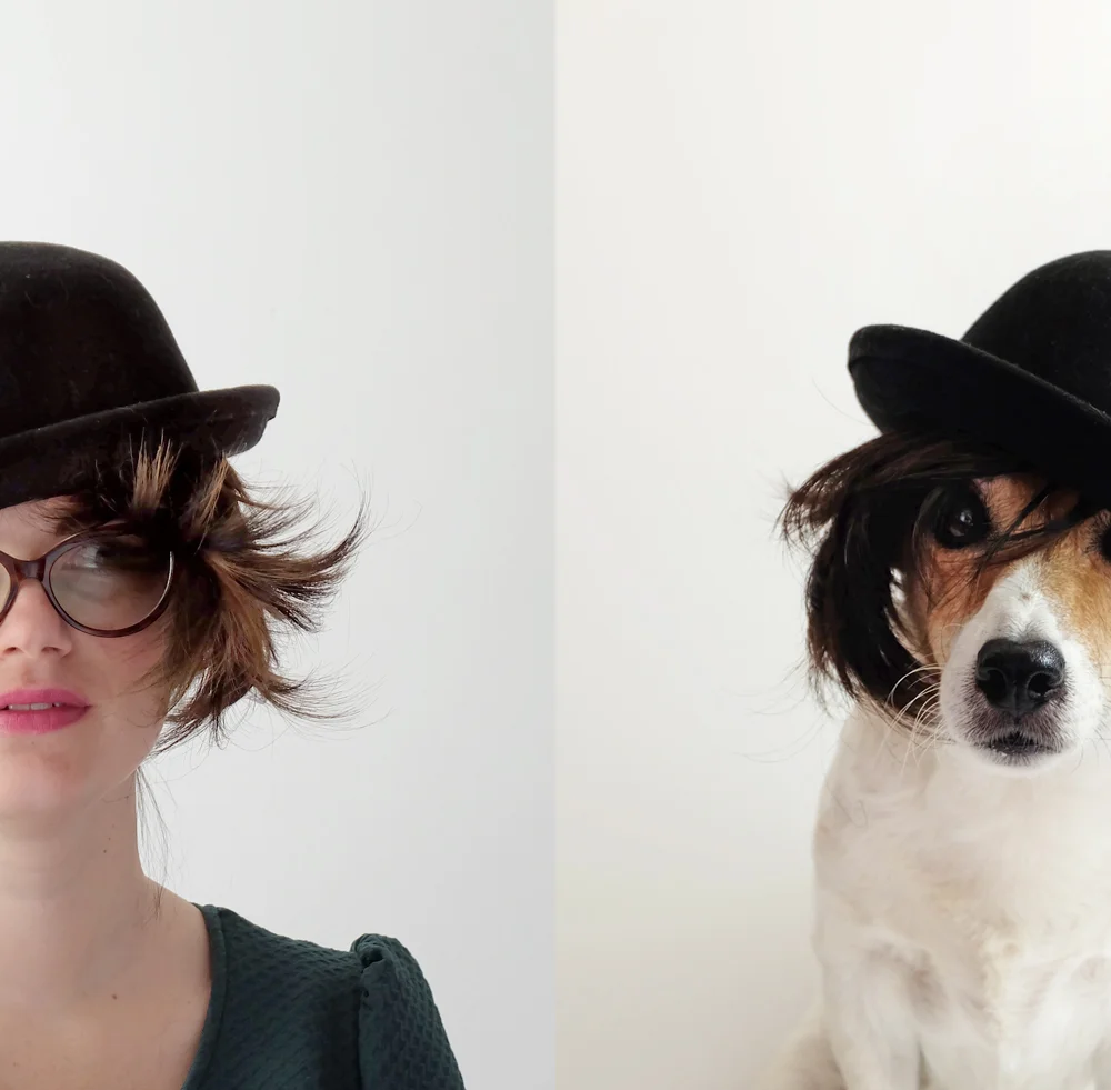jackrussell.jpg