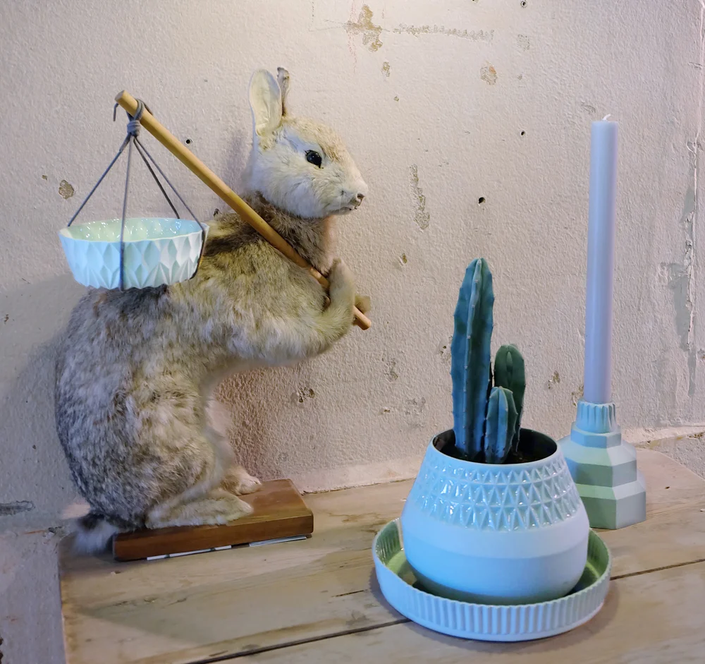 ddw2015.jpg