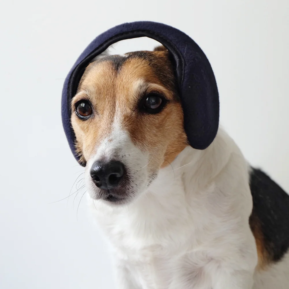 my-dog-wears-it-better-than-me-84.jpg