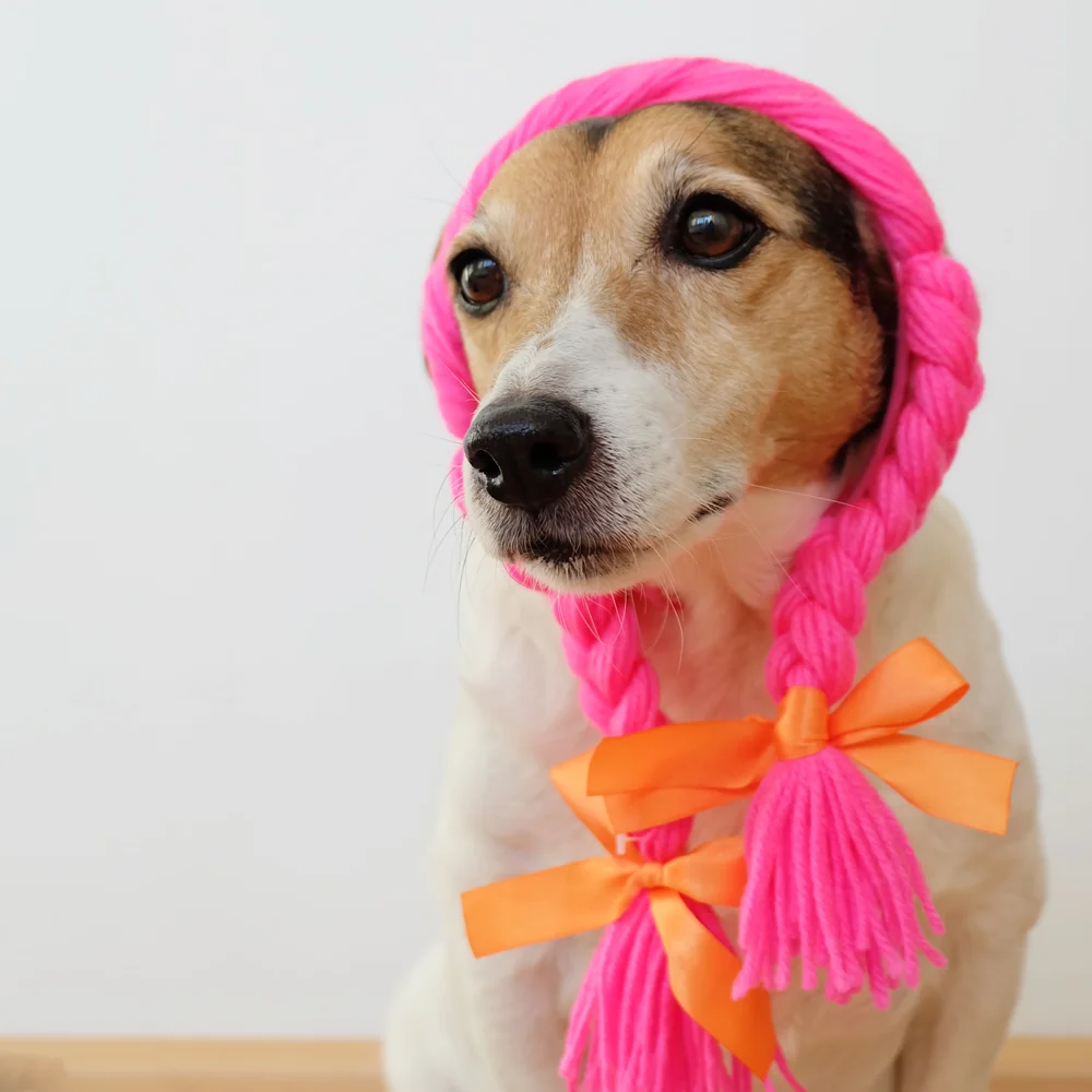 my-dog-wears-it-better-than-me.jpg