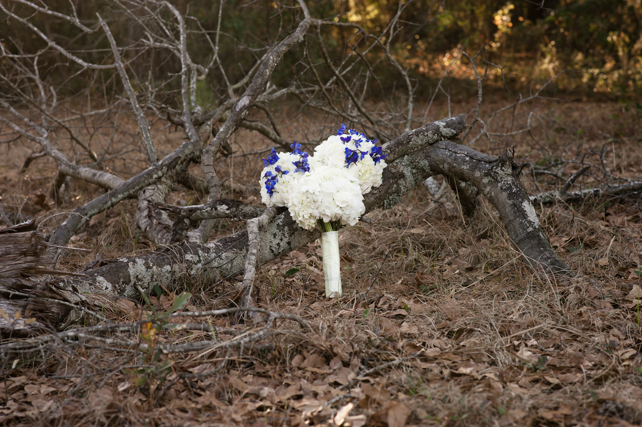 DSC_3702.jpg