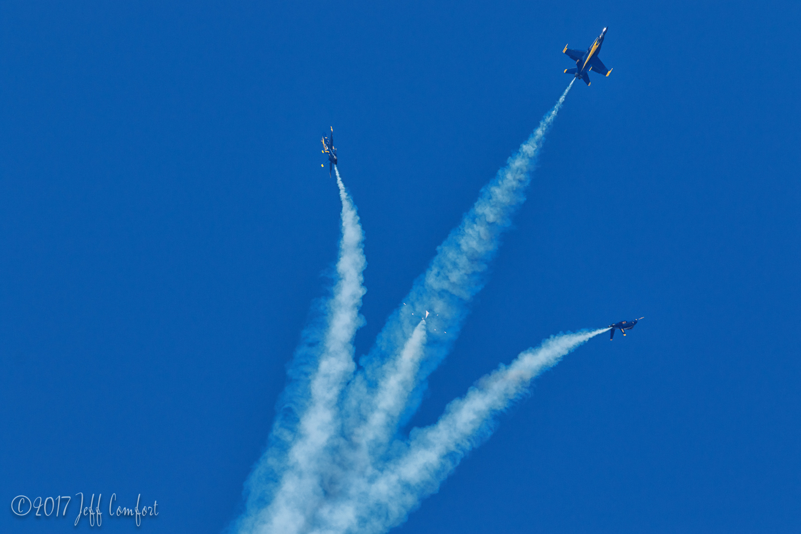 20170603-79.jpg