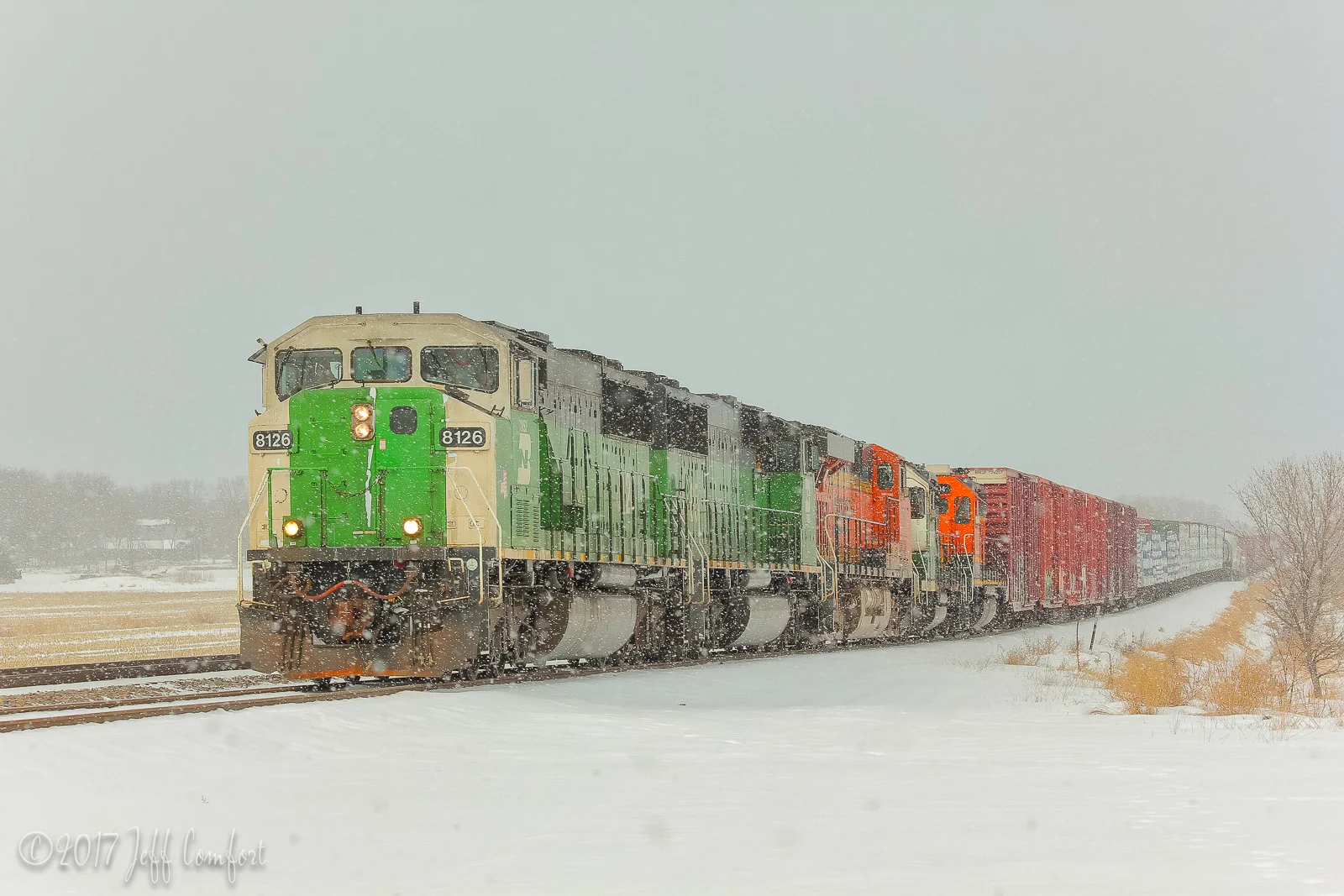 20130203-61.jpg