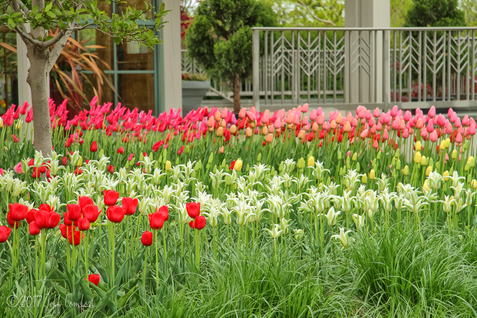 20150510-71.jpg