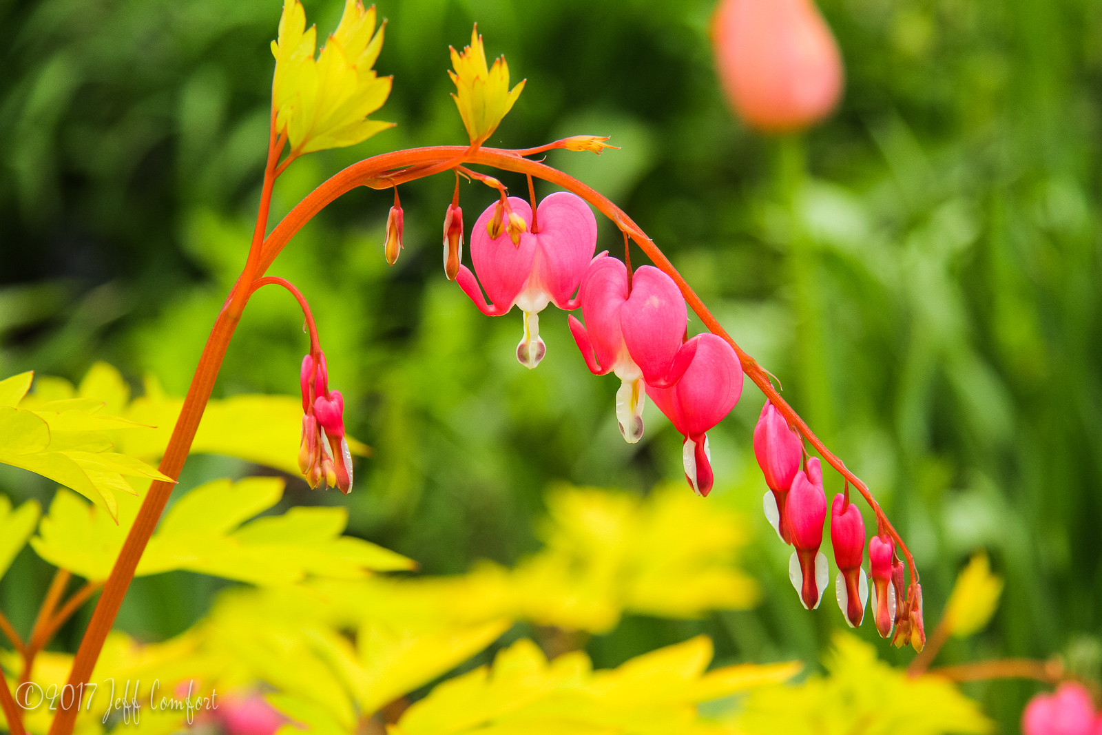 20150510-72.jpg