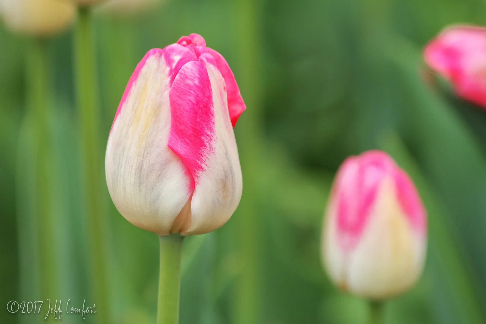 20150510-73.jpg