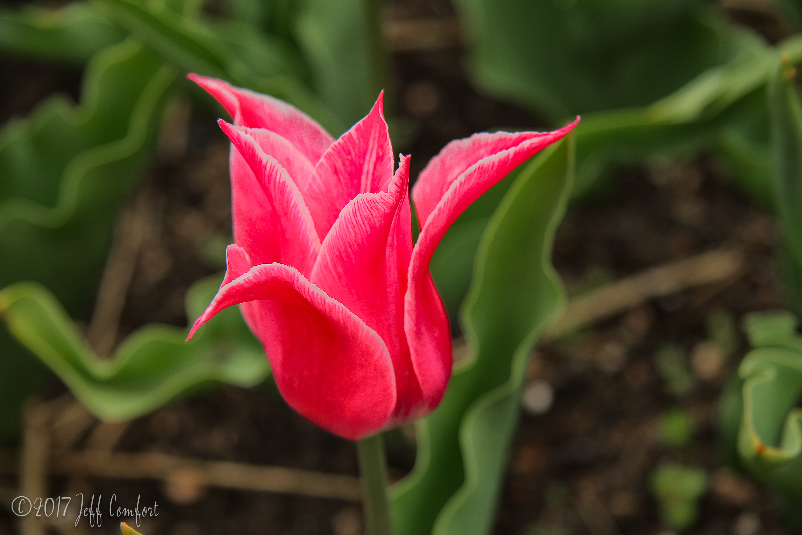 20150510-74.jpg