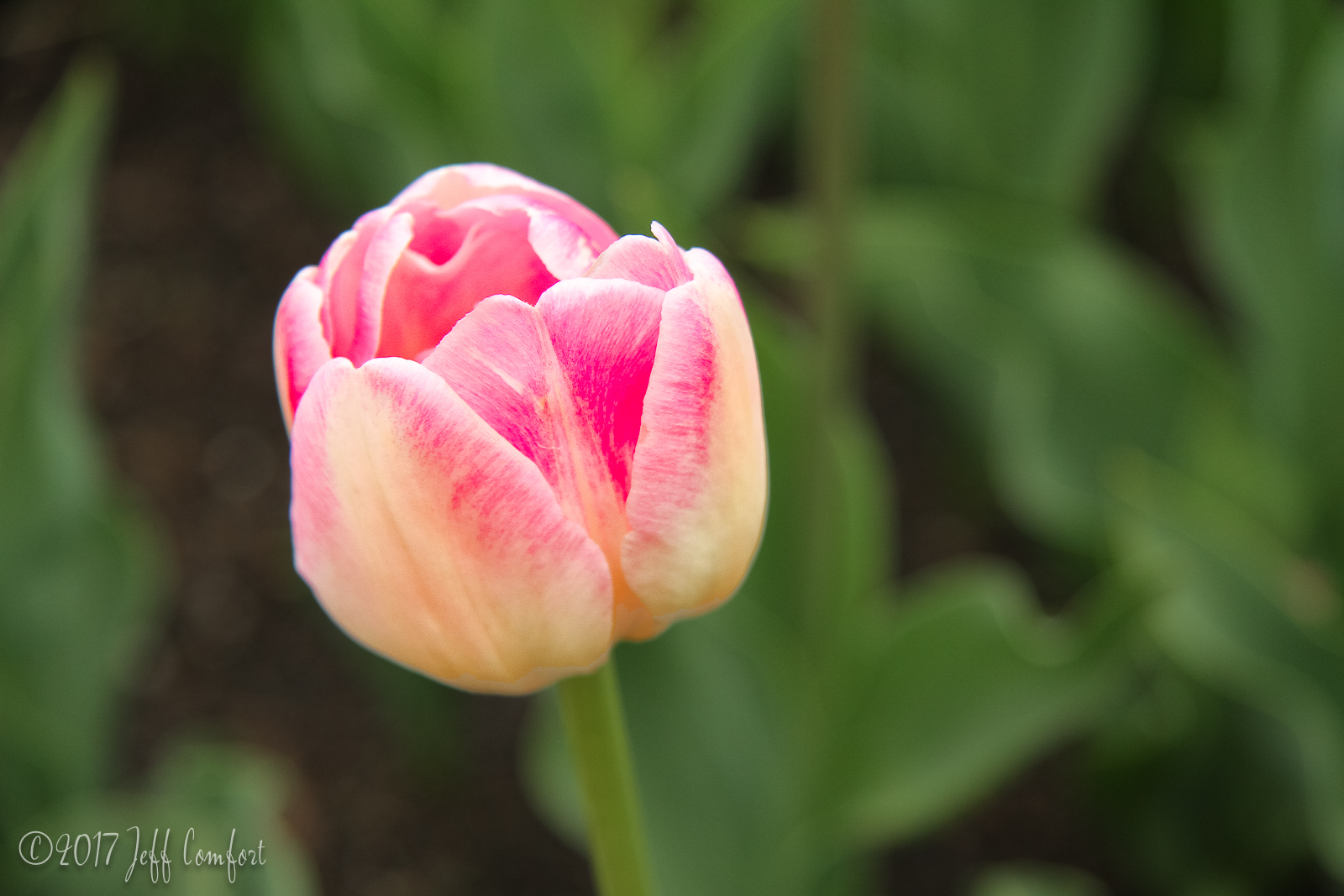 20150510-75.jpg