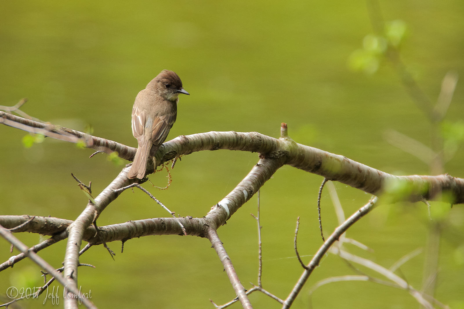 20150520-65.jpg