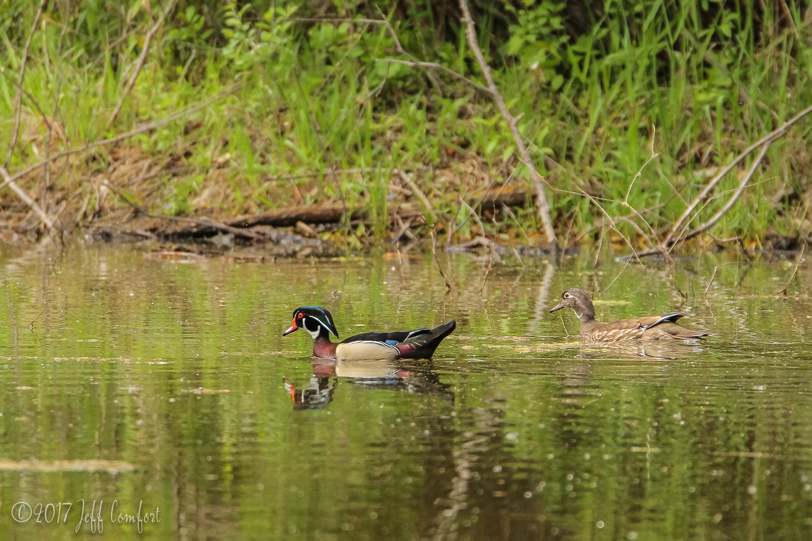 20150520-66.jpg