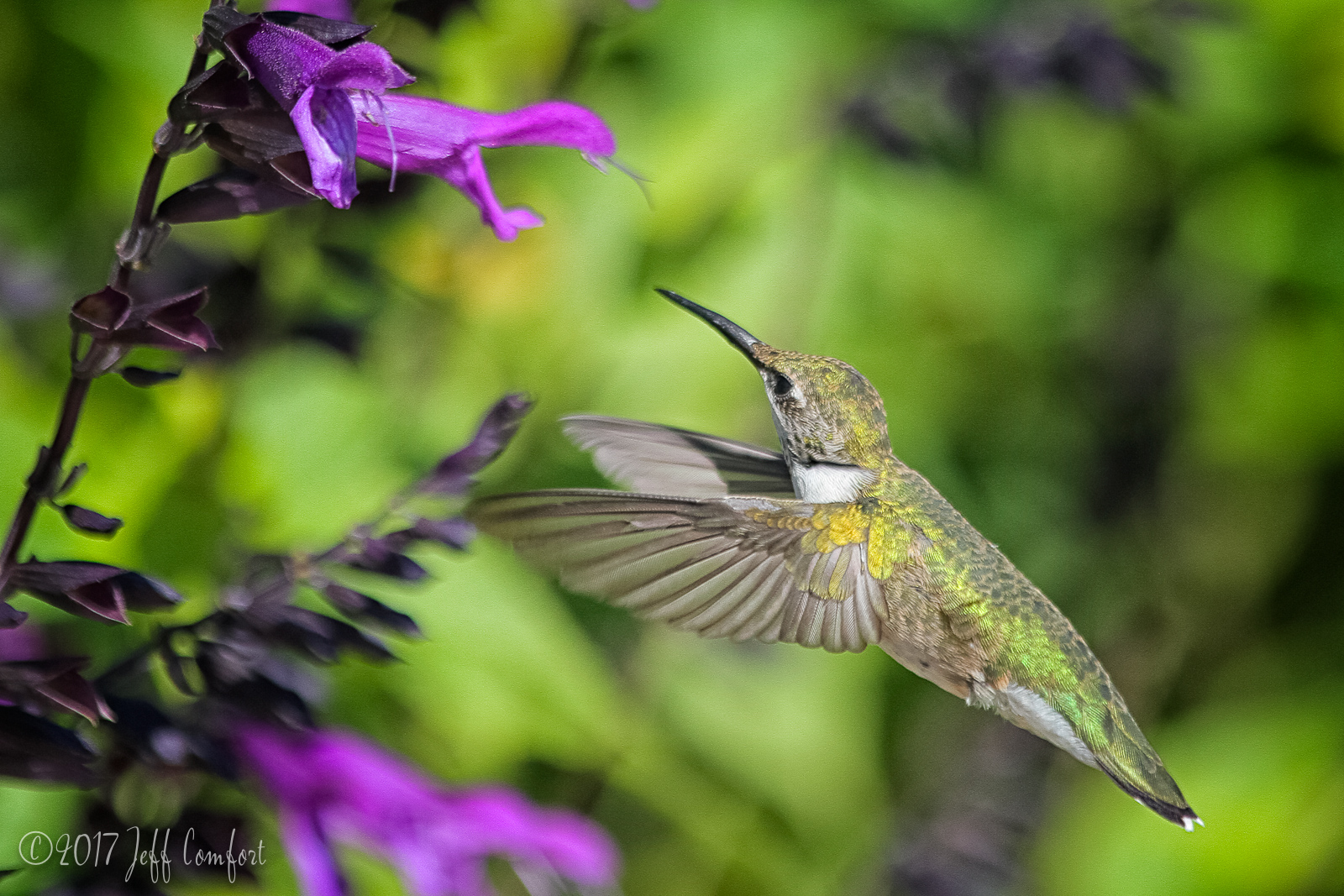 20150914-60.jpg