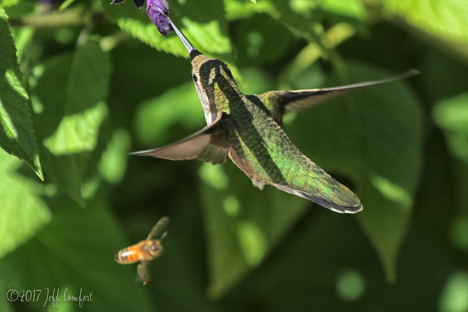 20150914-61.jpg