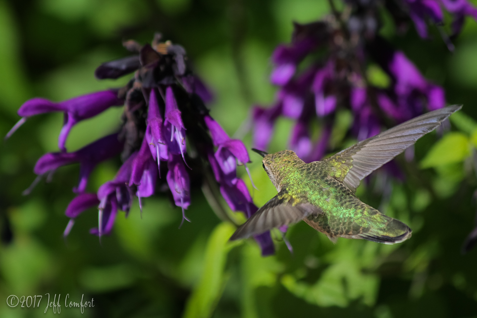 20150914-62.jpg