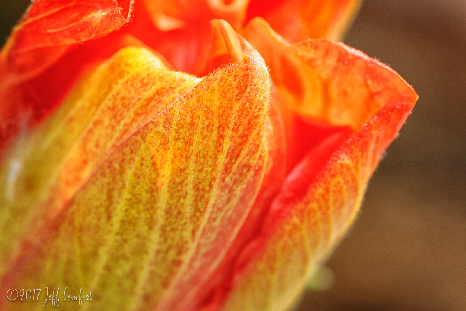 20170528-07.jpg