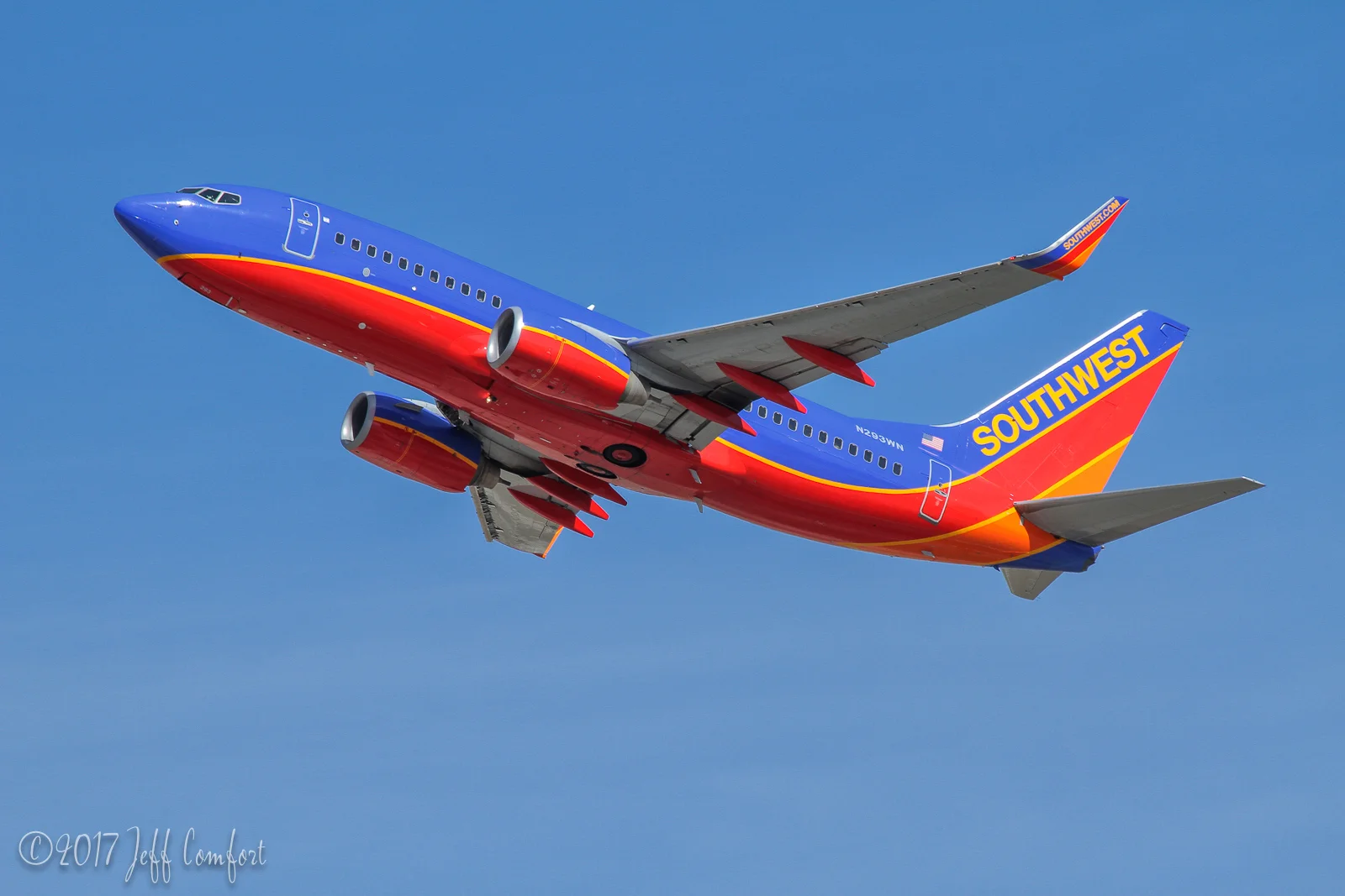 20150403-67.jpg