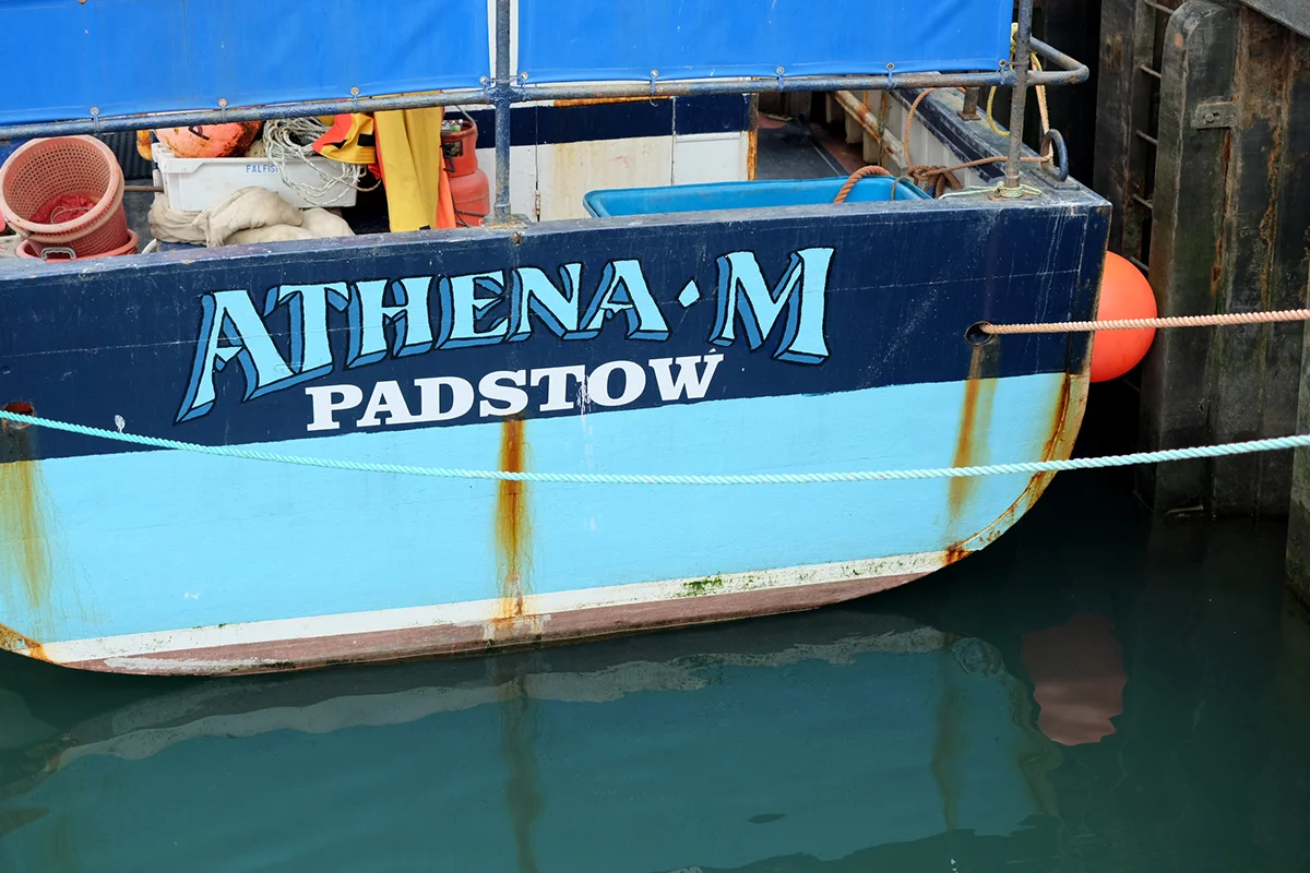 Photograph_39.jpg