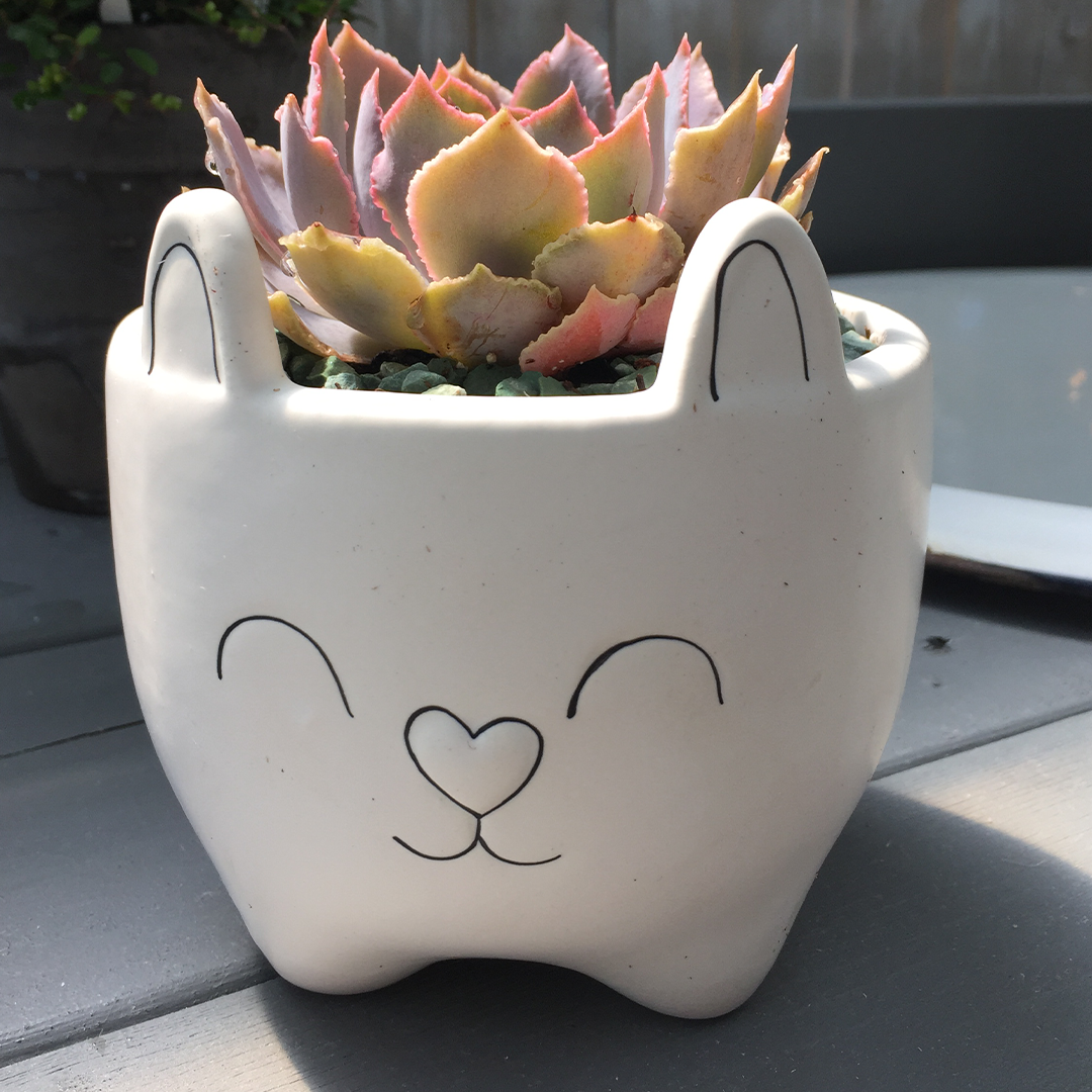 25_Succulents .png