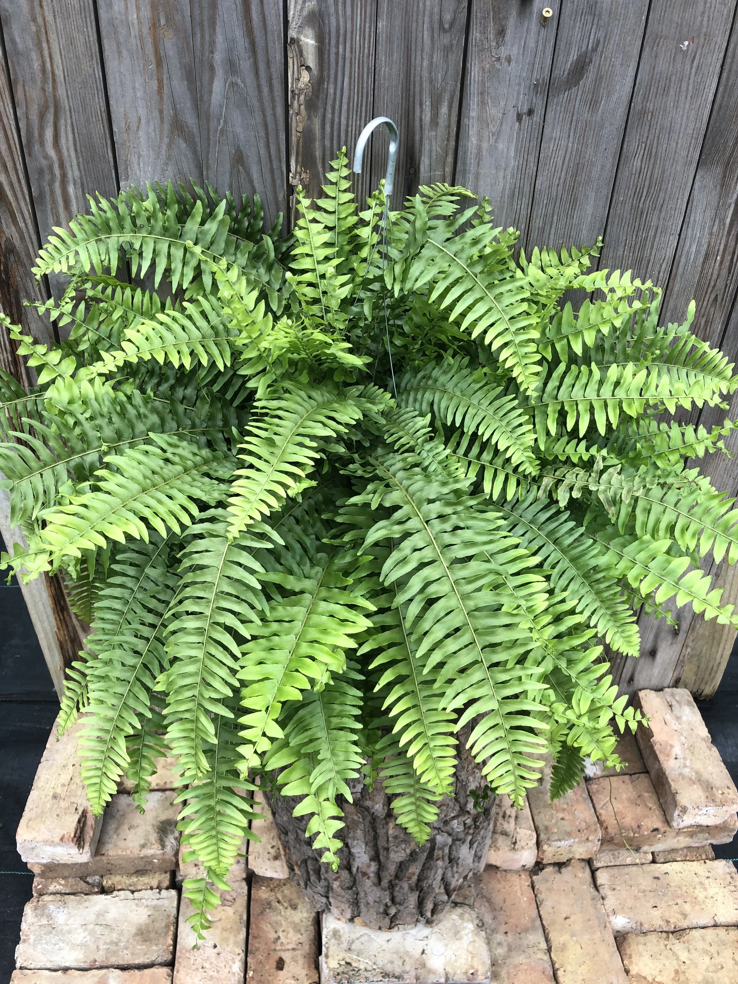 082E82DA-7480-4619-8DF1-54E1D94285DF