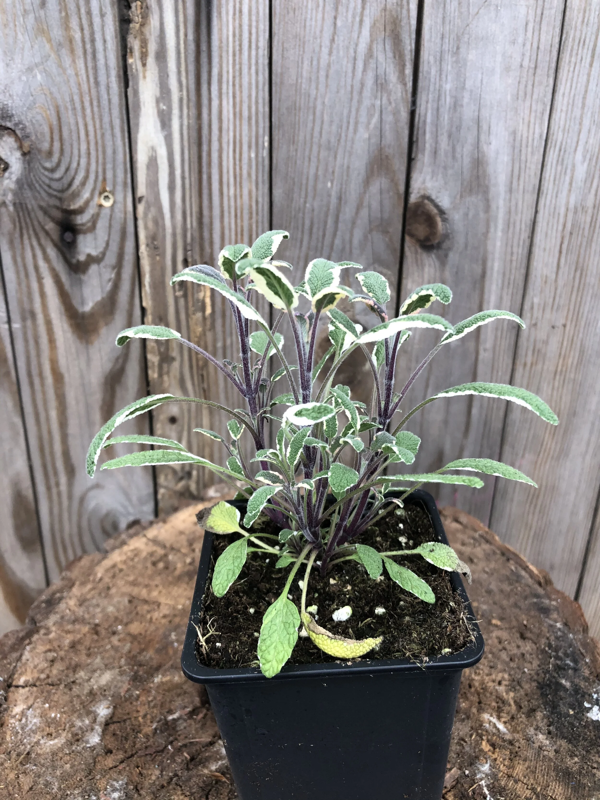 13072557-DBDD-4B25-9869-7335EE7C32B4