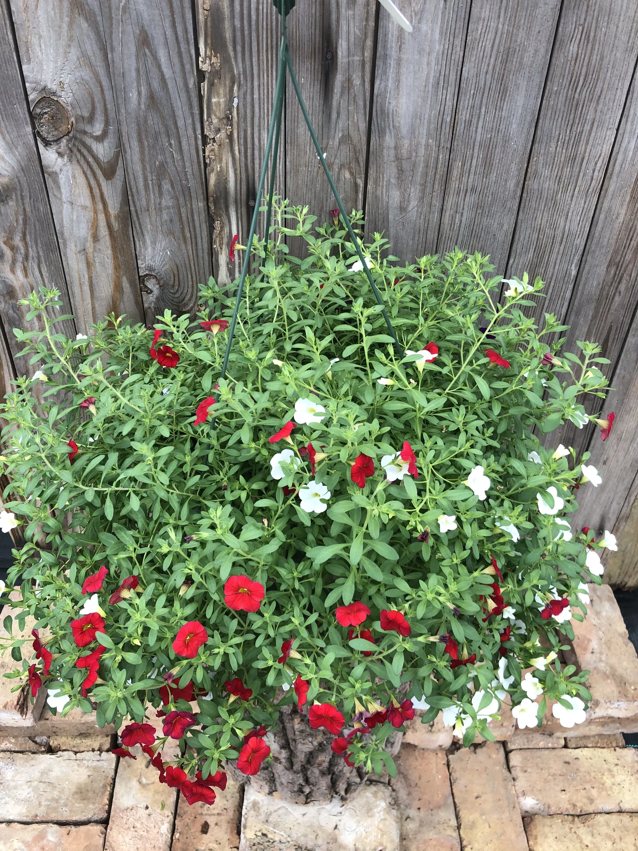 6AA30802-C172-413C-9DF3-CACE56B3777F