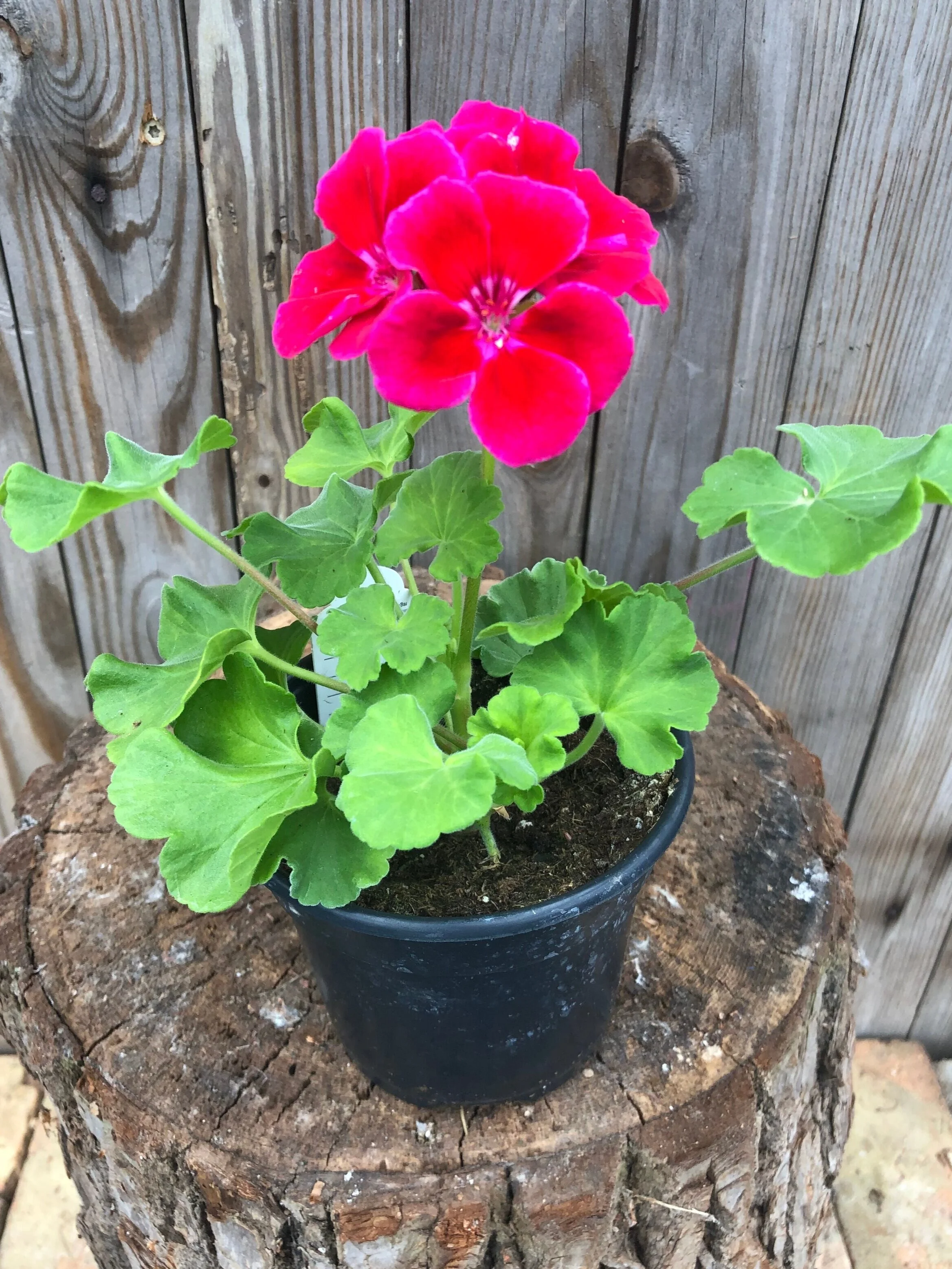 E33D1402-36E6-4998-9D93-3B52C8C84E55