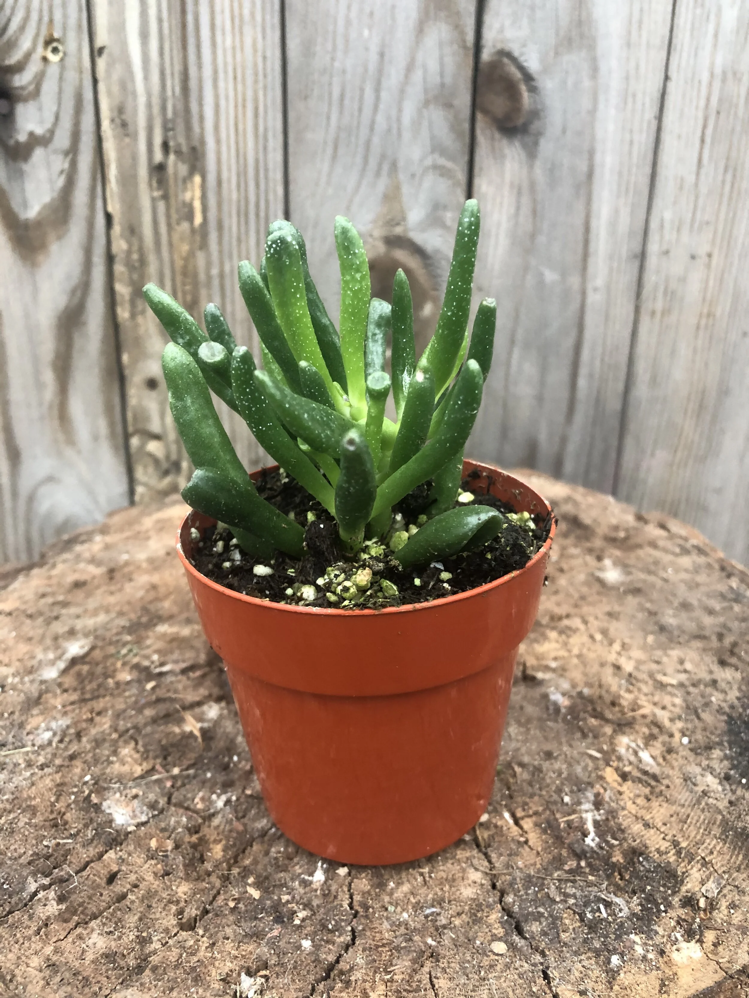 40045A47-9579-4D1B-B2B9-8F269485636A