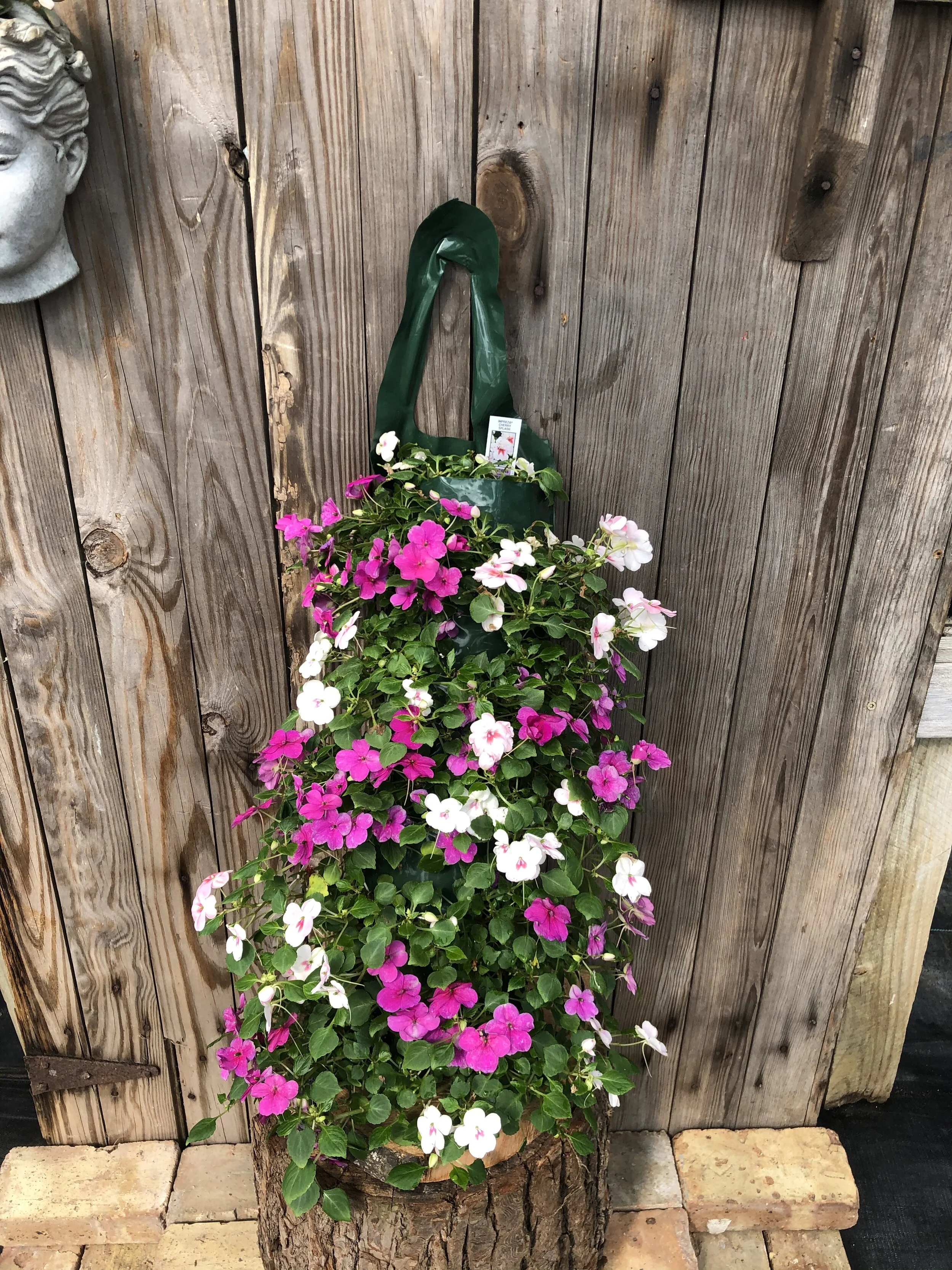 7A346B56-17CB-4E1A-96B6-C32D33FEBB60