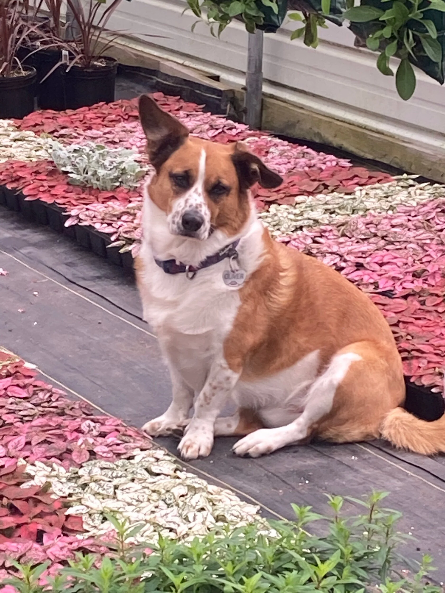 51415B78-1978-4F37-BAA3-8623D0703180