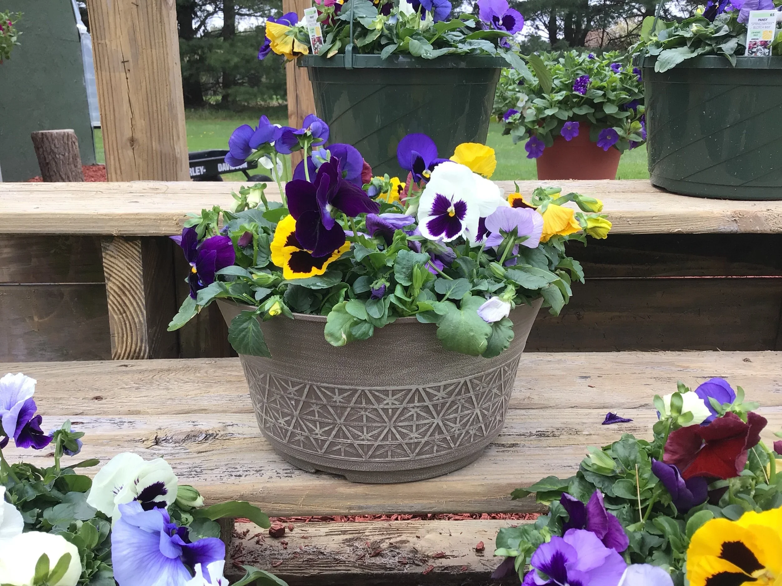 9007A00C-60A4-43DA-B627-A6D2BB0FCD41