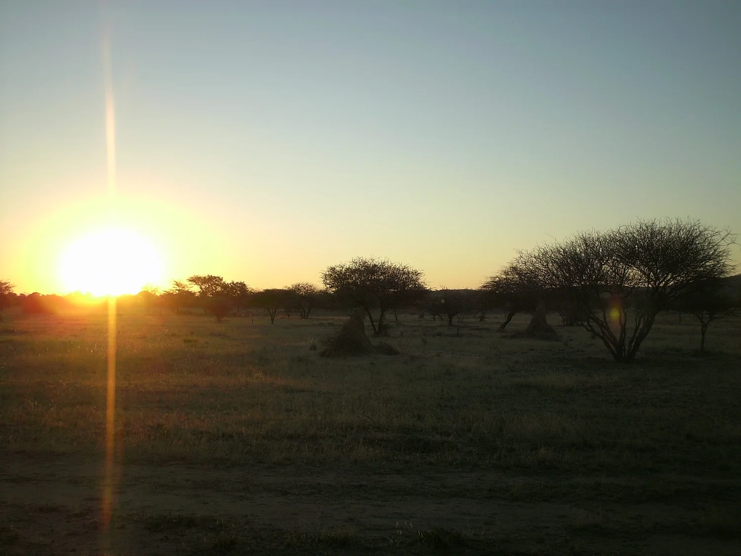 NamibiaBotsuanaZimbabwe Sommer2013 008.JPG