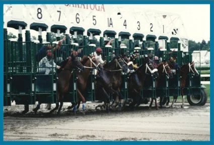 starting gate.jpg