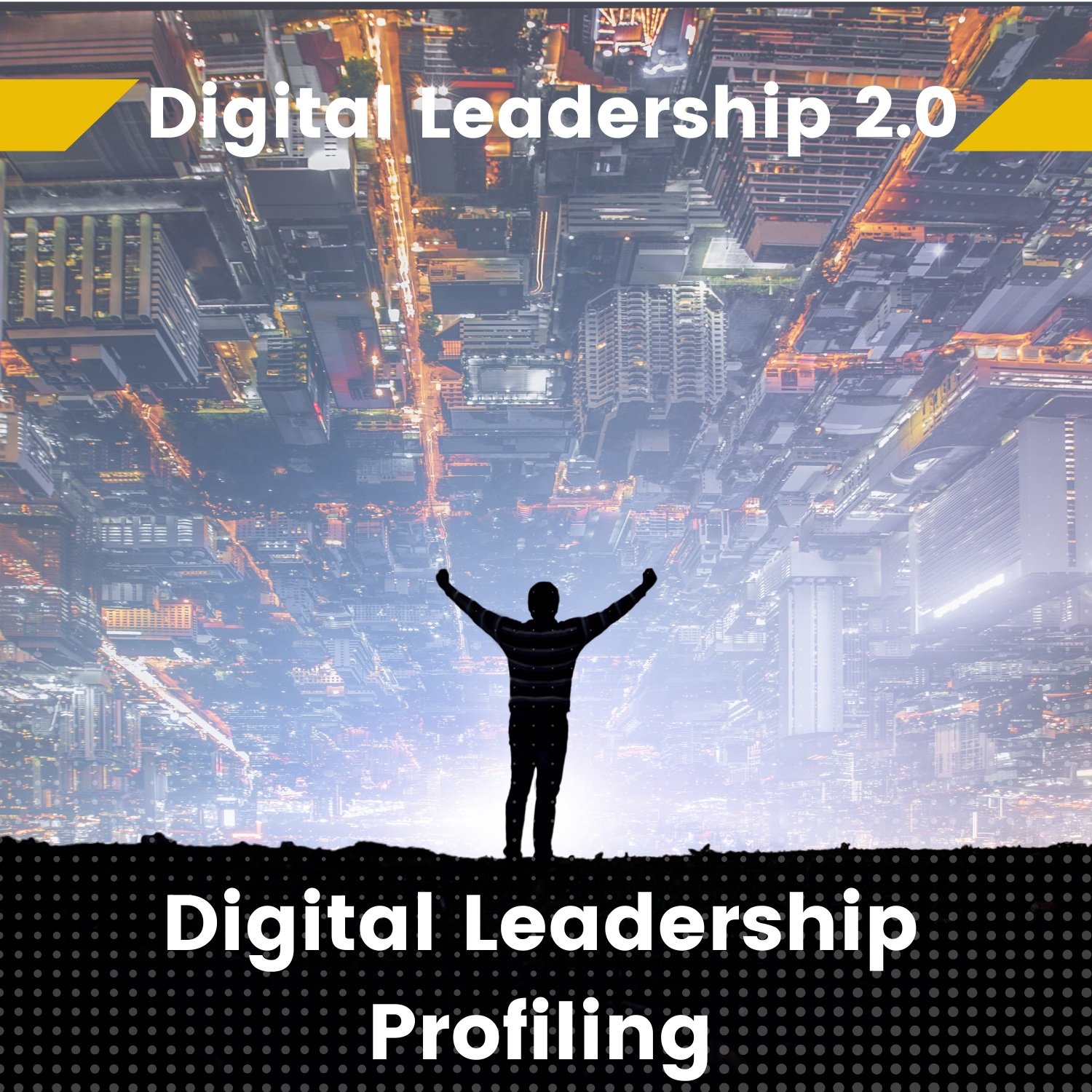 Digital Leadership 2.0 Profiling Assessment