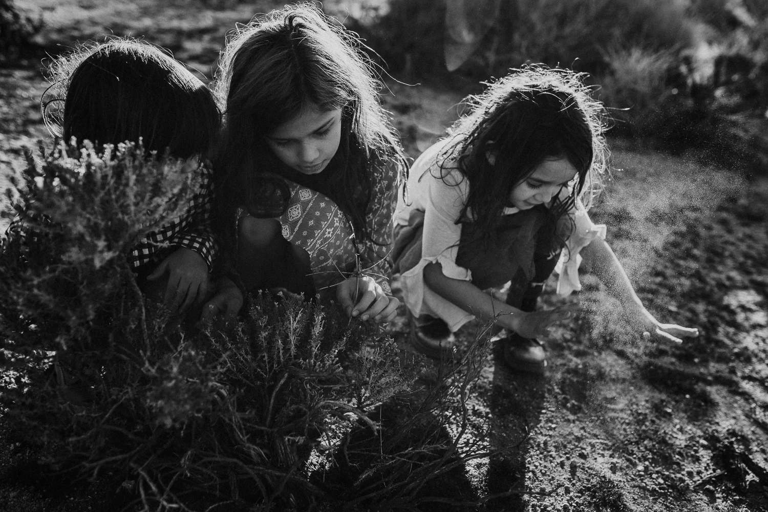 JaymeFordNativeShootBLOG-84.jpg