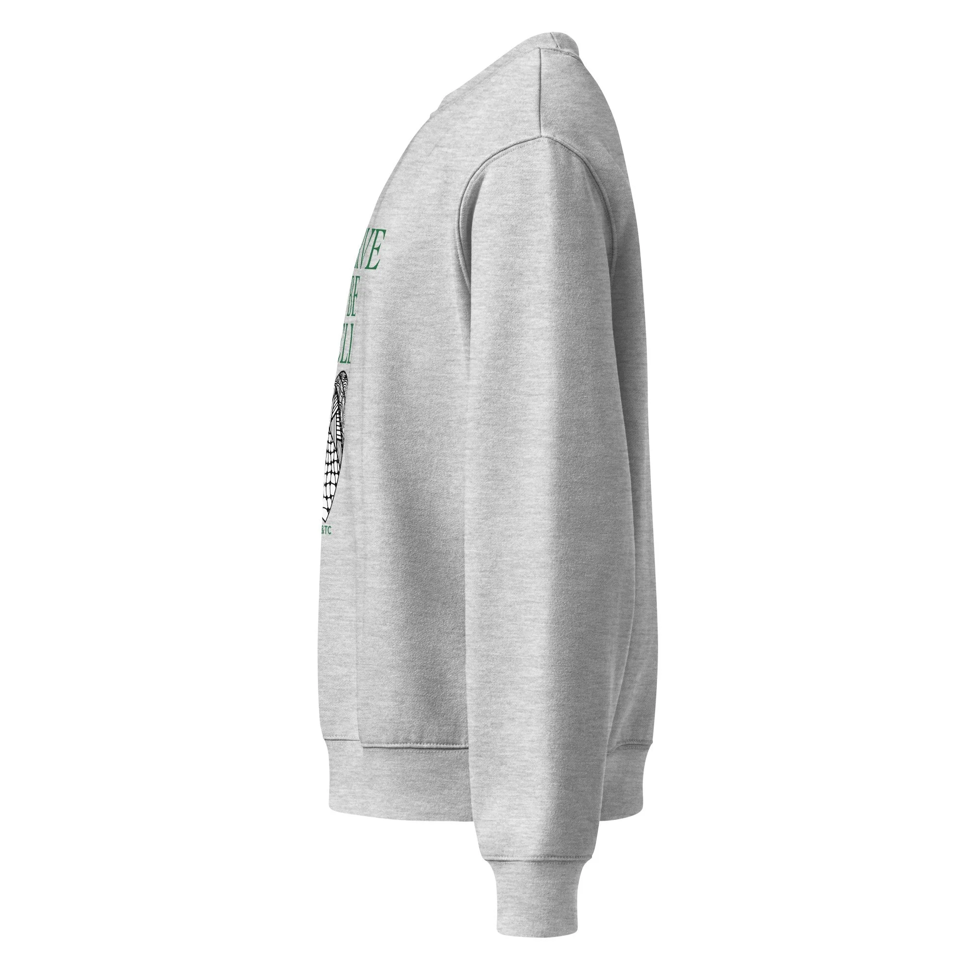 unisex-oversized-heavyweight-sweatshirt-athletic-heather-left-68cc4e06cc604.jpg