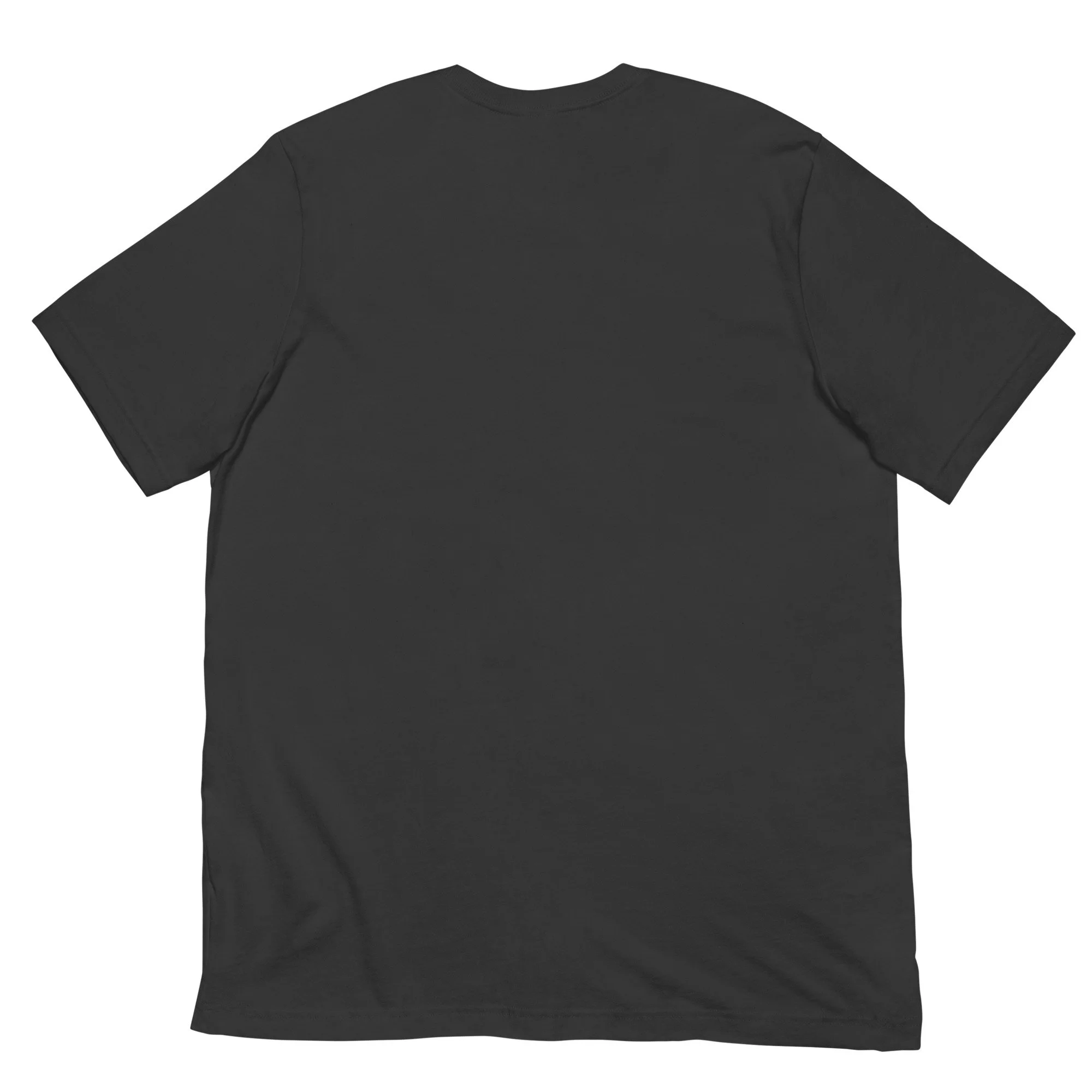 unisex-staple-t-shirt-dark-grey-back-6a14df183e0a4.jpg