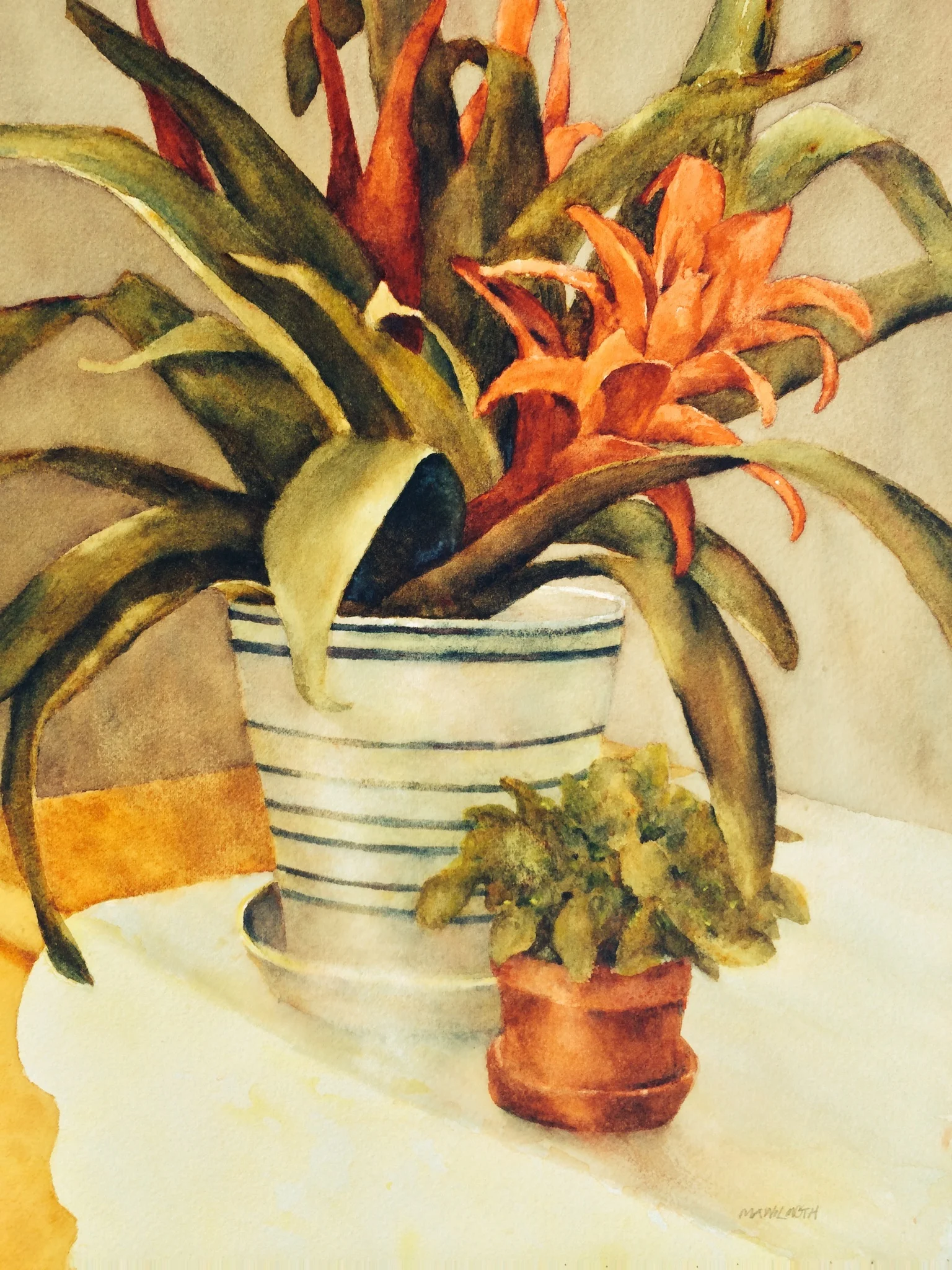 photo 2-2.JPG