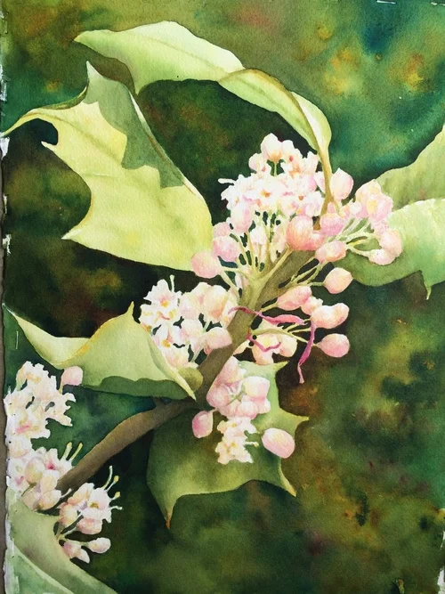 Greens and flower.JPG