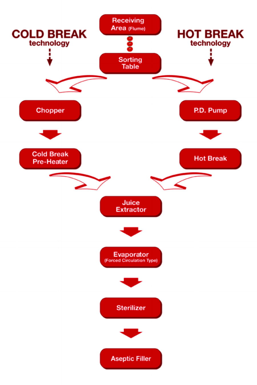 Flow Chart Of Tomato Ketchup