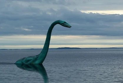 Broad Cove Spooky Stroll, Halloween Night