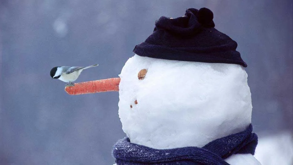 Broad Cove Snowman Contest