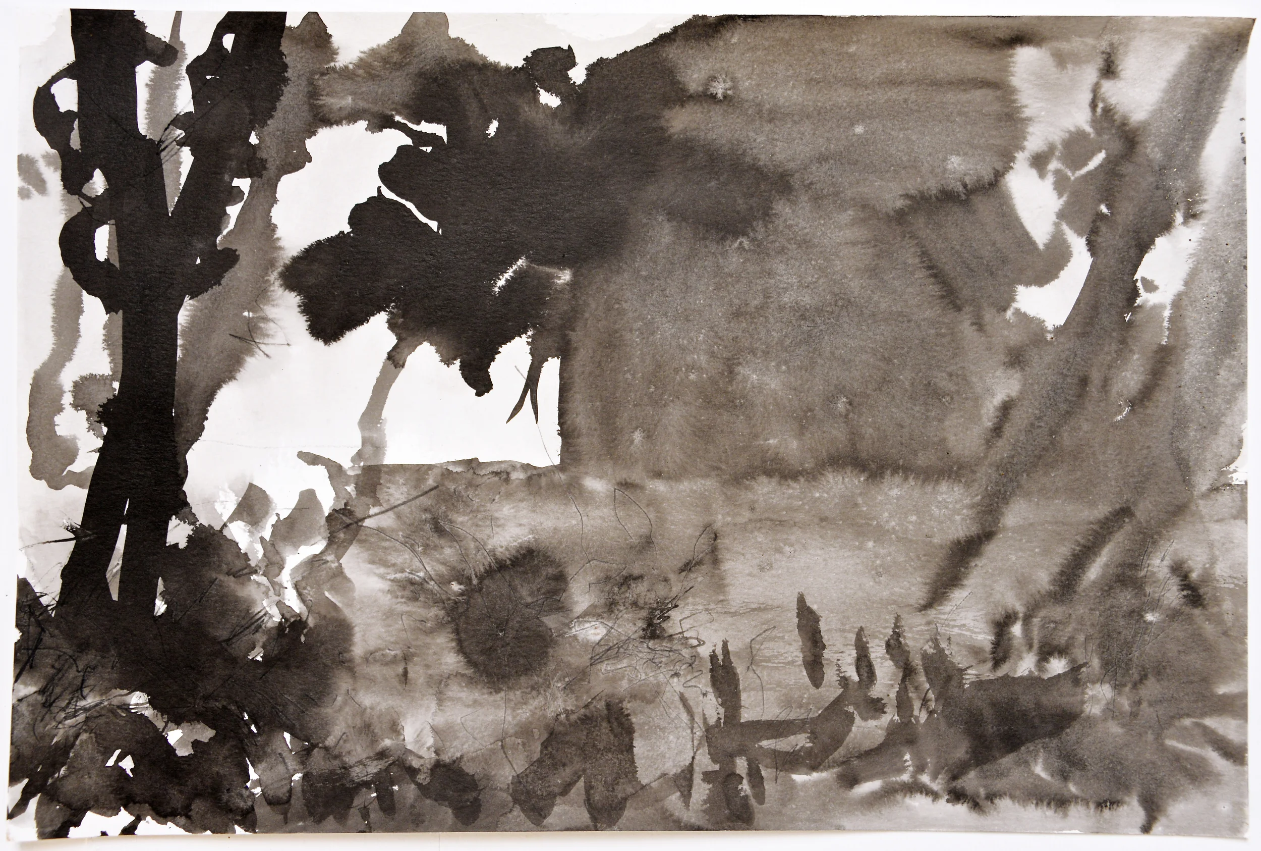 6.15.15 III 2015 ink on paper