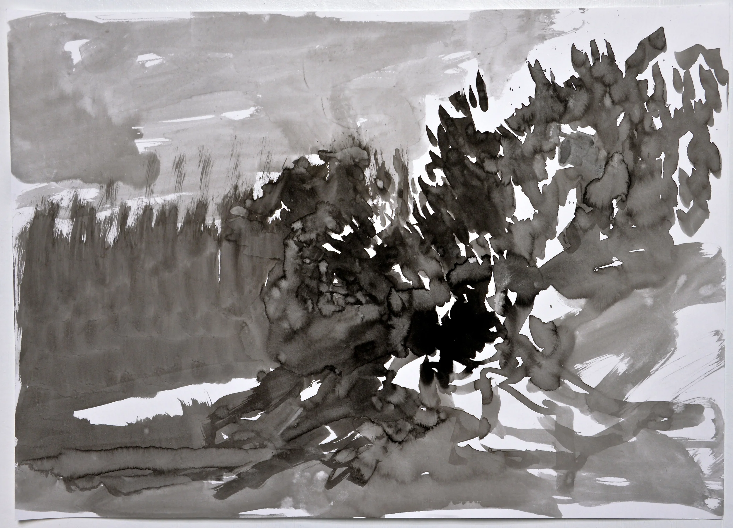  6.21.15 II  2015  ink on paper 