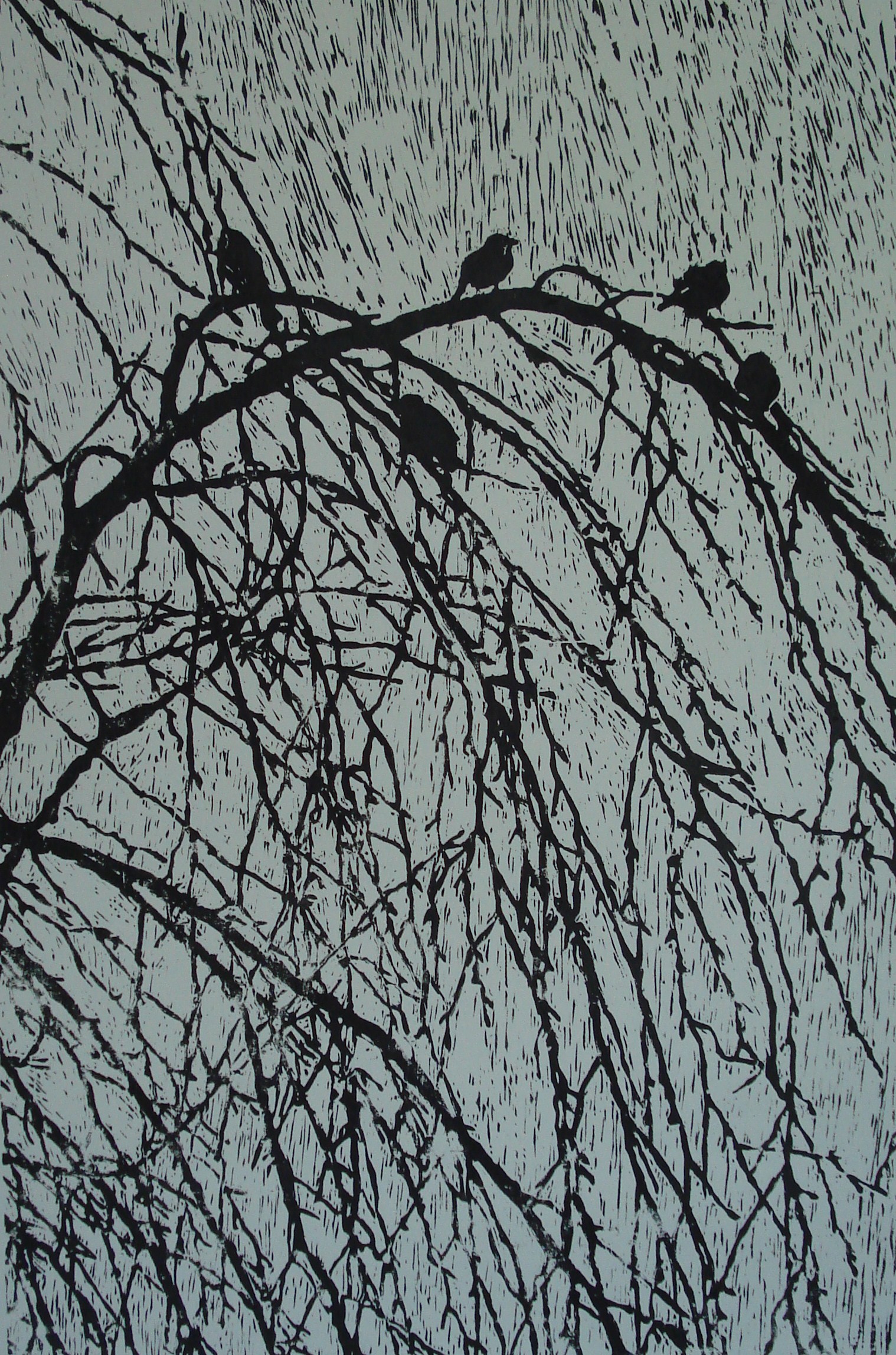 Birds in Tree