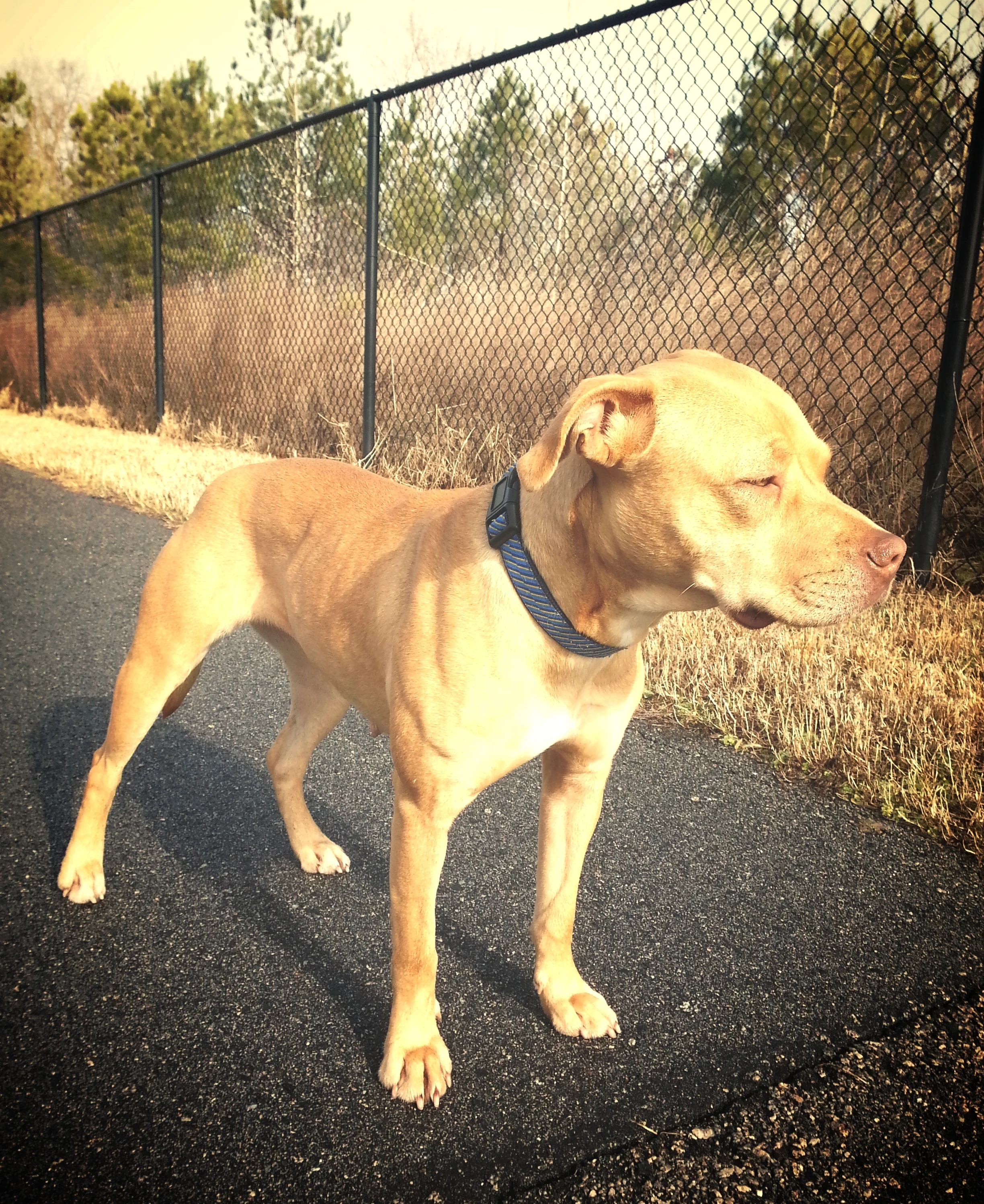 Judy (Adopted through Jennifer)