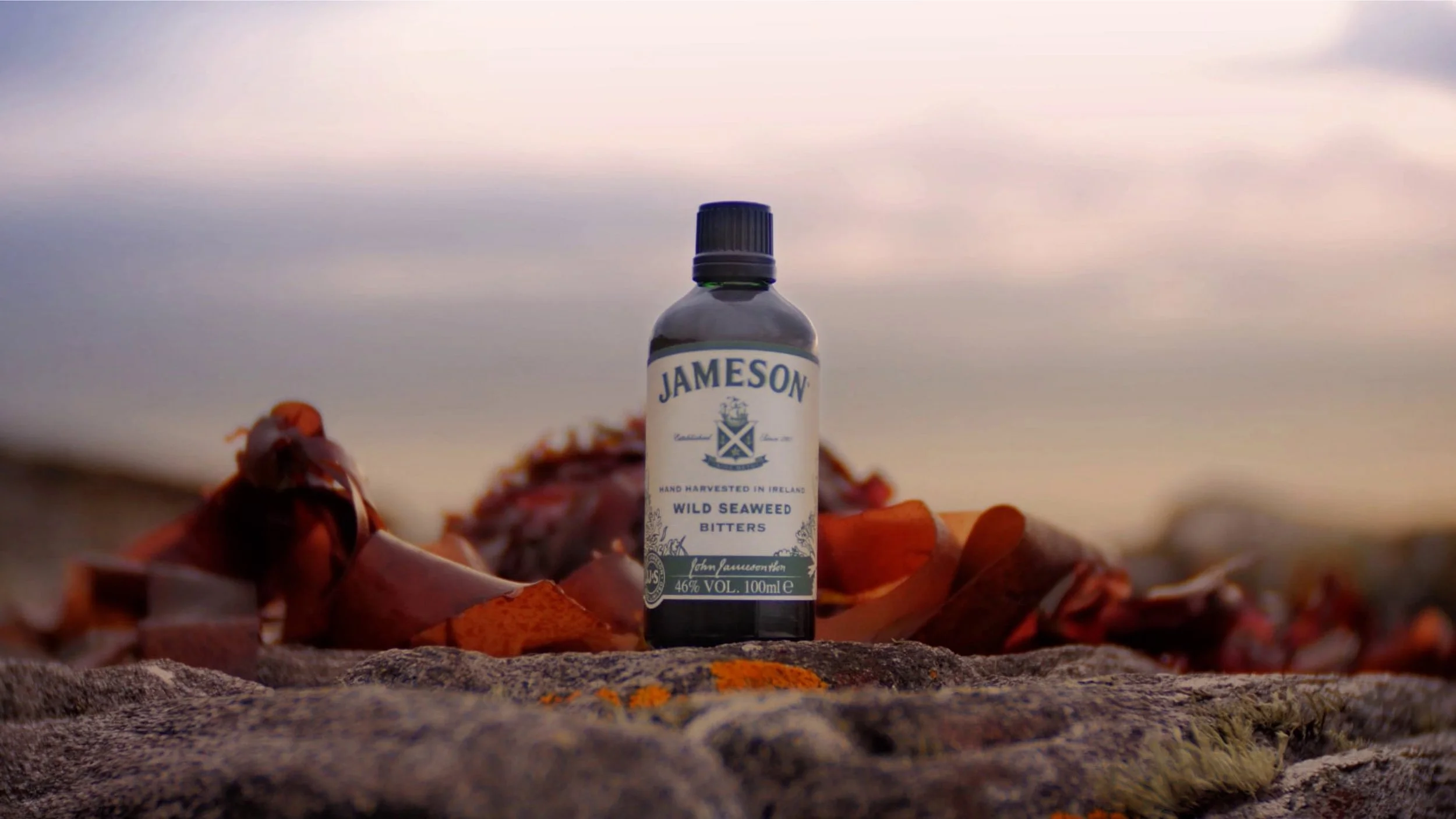 Jameson - Wild Seaweed Bitters (2018)