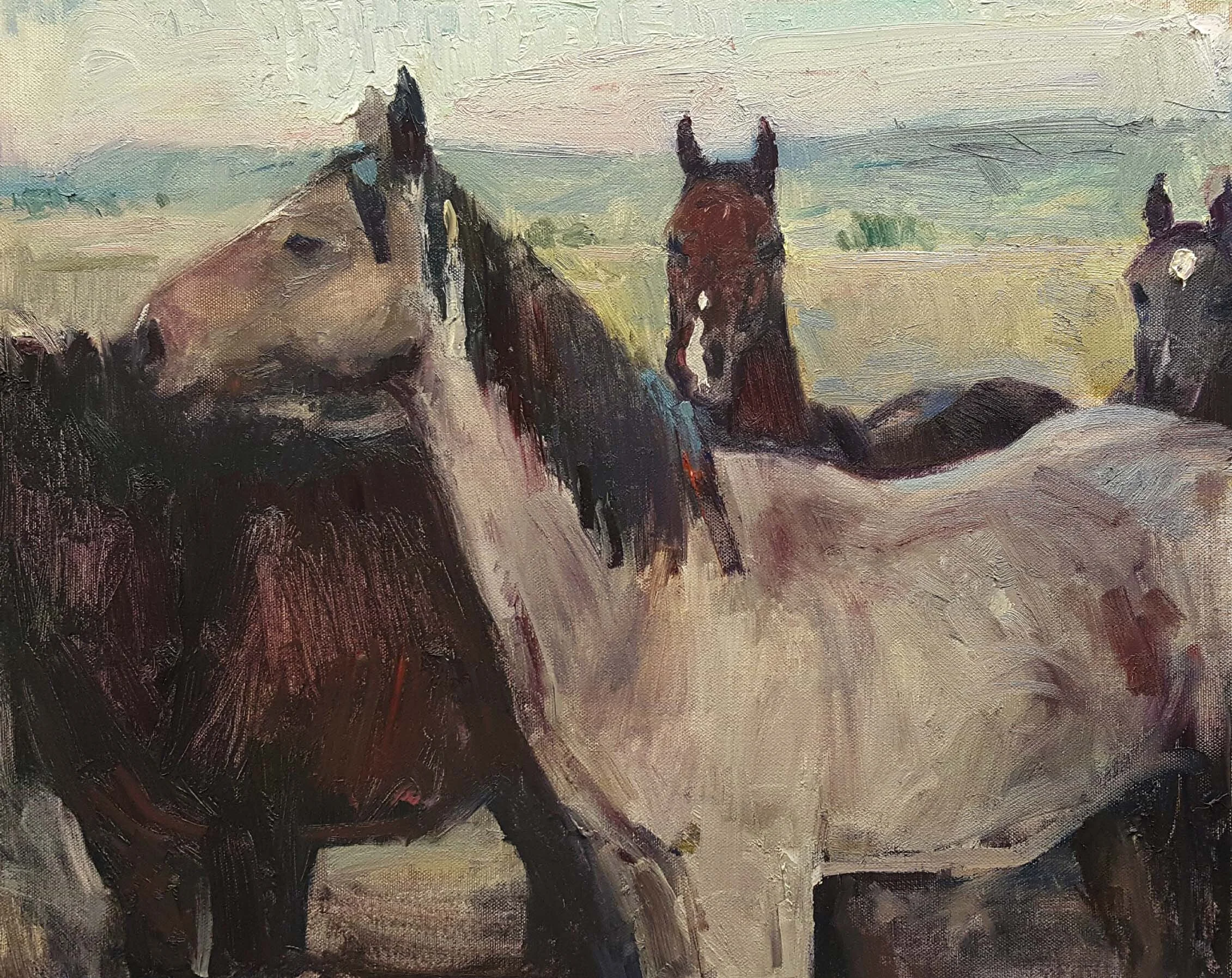 Tyler Murphy | "Young Horses" | 16x20| $800 | unframed