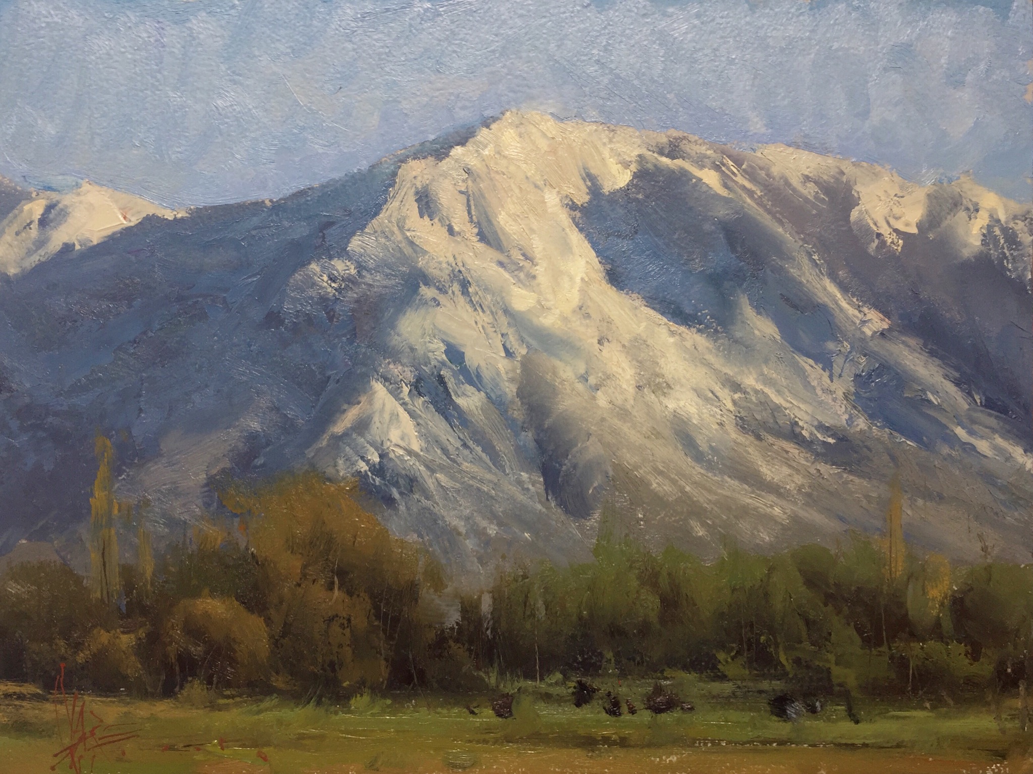 Josh Clare - 11 x 14 in - unframed oil on board - $1400
