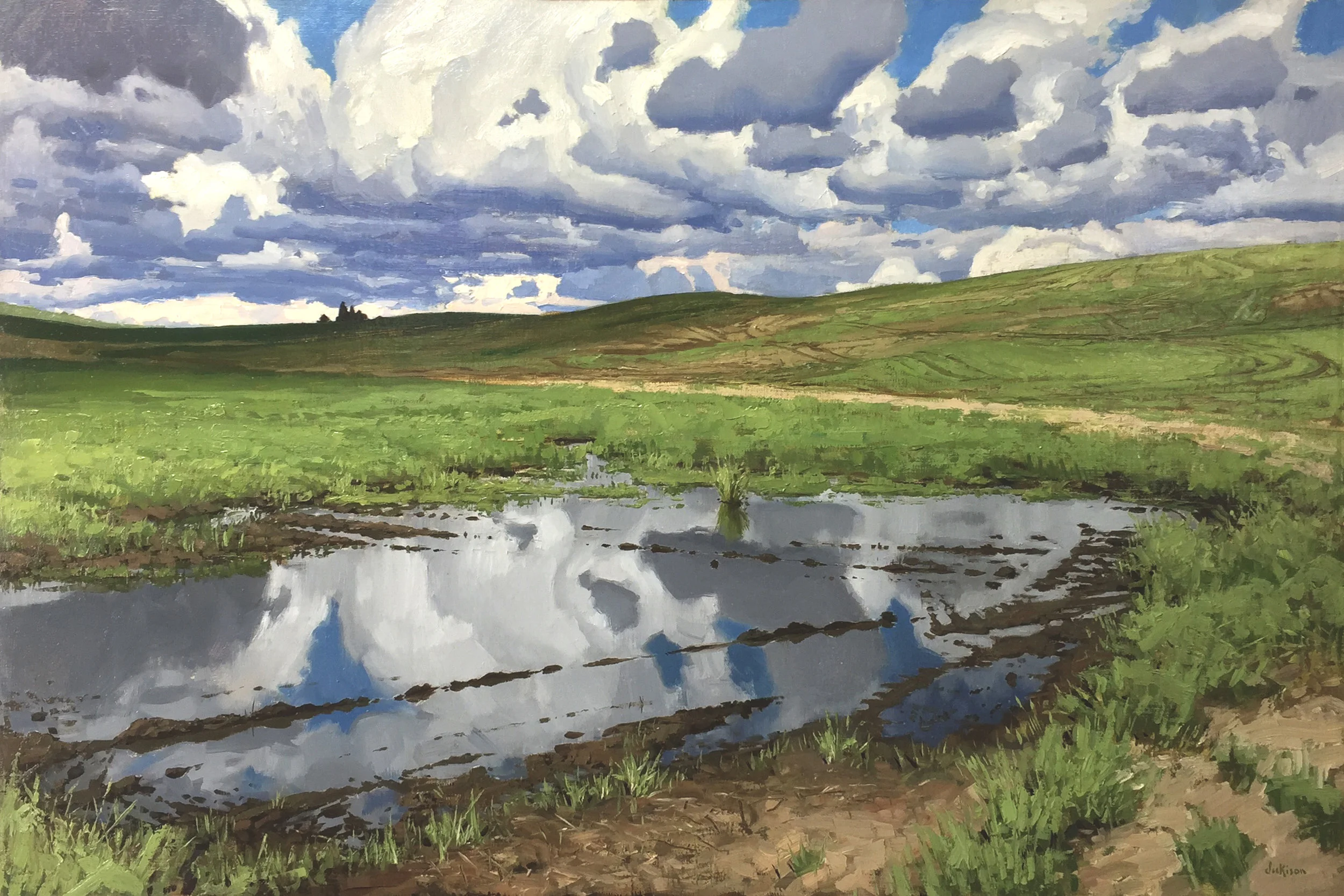 Forrest Dickison - Puddle of Clouds - 20 x 30 in - oil on linen framed - $3400