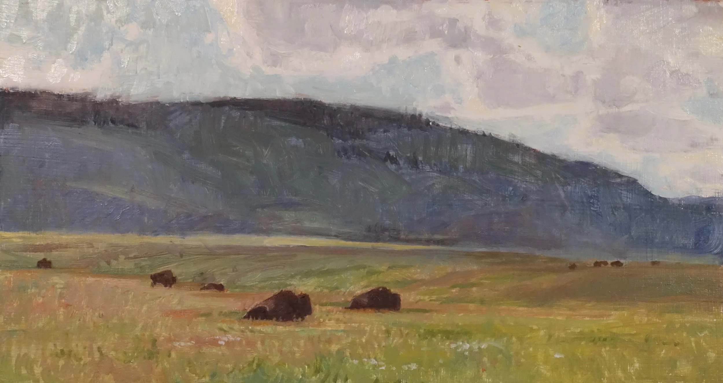 NationalBisonRange_6.5x12_$500_Closson.jpg